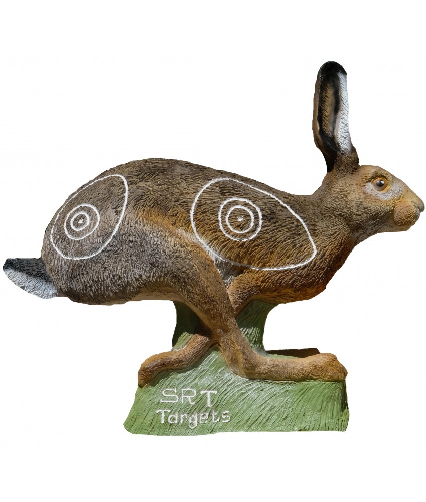 Center Point - Trait carbone 20'' Center Point - Trait carbone 20''
